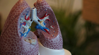 Ensifentrine's EMA approval: When will the newest inhaled COPD medicine be available in Europe?